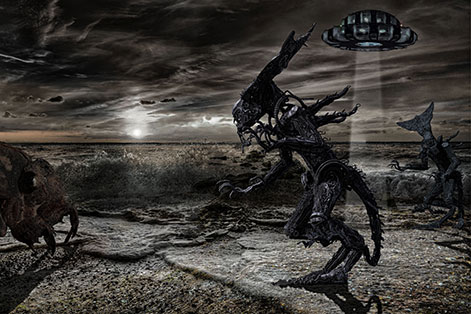 Animation Movie Animation Movie